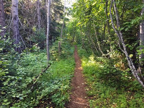 Iceberg Lake in Whistler | Vancouver Trails