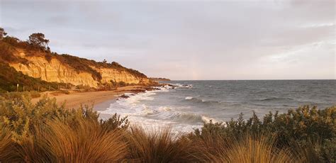 Cliffs glow at sunset, Half Moon Bay, Melbourne. : r/melbourne