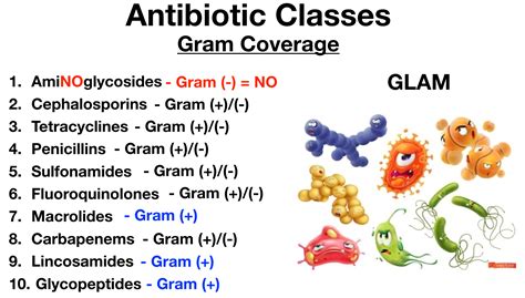 Gram positive vs gram negative bacteria antibiotics - filospice