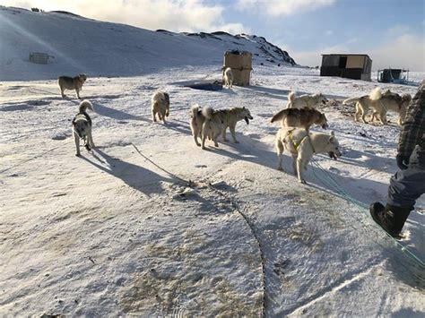 VISIT SISIMIUT - All You Need to Know BEFORE You Go (with Photos)