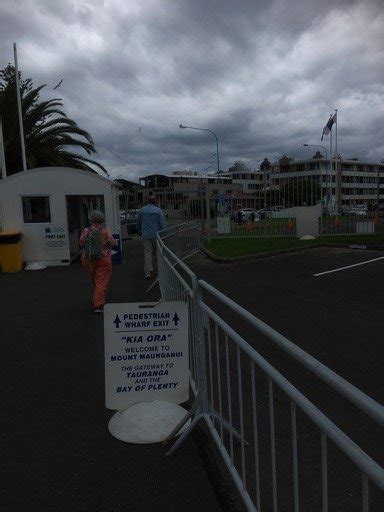 Tauranga cruise port: port maps, transportation options, shore excursions