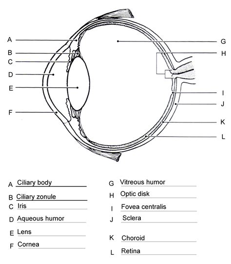 Eye Diagram Blank