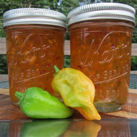 Habanero Pepper Jelly | Recipe | Pepper jelly, Pepper jelly recipes ...