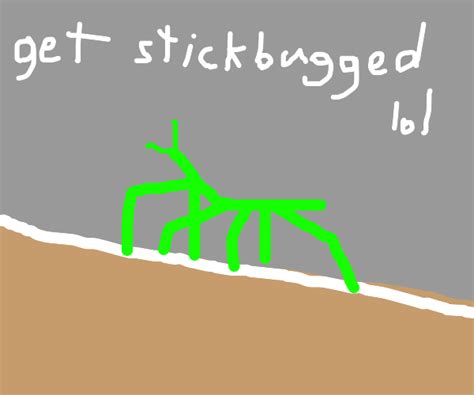 Get stick bugged lol - Drawception