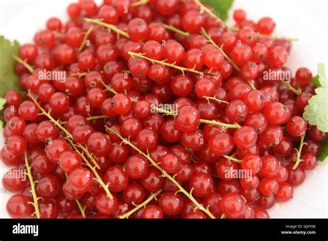 Edible Red Berries Berry Stock Photo - Alamy