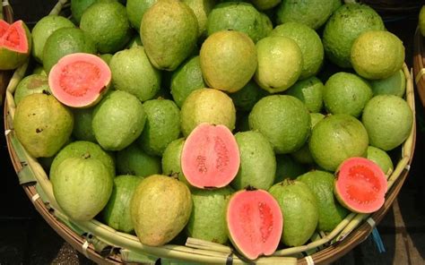 25 Guava Varieties From Across The World That Are Little Lesser Known