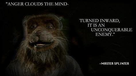 12 Master Splinter quotes. Awesome ideas | master splinter, quotes ...