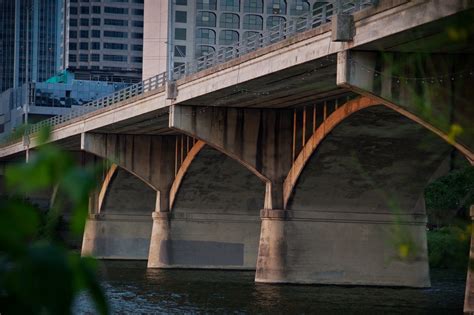 Feather Tailed Stories: Bats Under the Congress Avenue Bridge