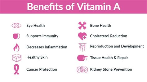 Vitamin A Benefits, Deficiency and Foods - Dr. Daniel Functional Medicine