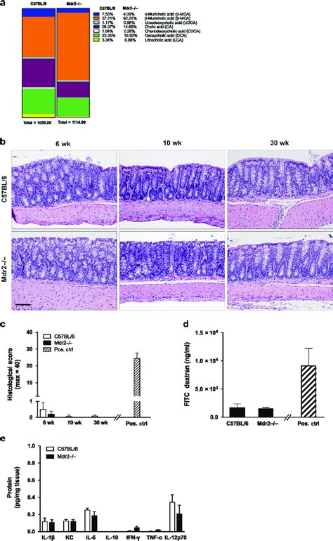 Baseline colonic phenotype in Mdr2 −/− mice with active liver disease ...