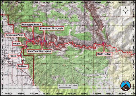 Hiking Upper Escalante River - Escalante | Road Trip Ryan