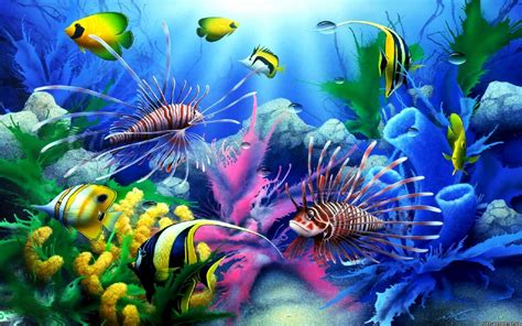 🔥 Free Download Pics Photos Tropical Fish Wallpaper For Desktop Sfondo ...