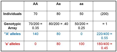 Allele Frequency Definition