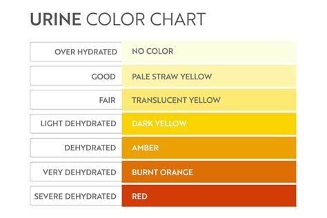 Urine color chart. Pee hydration and dehydration test strip. Vector ...