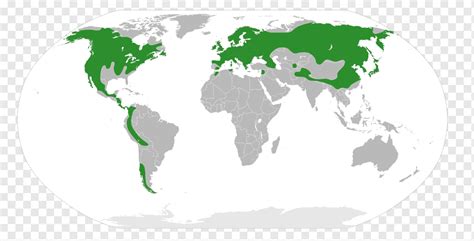 Northwest Coniferous Forest Map