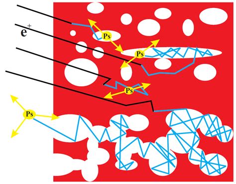 Positron Annihilation Lifetime Spectrometer | NIST