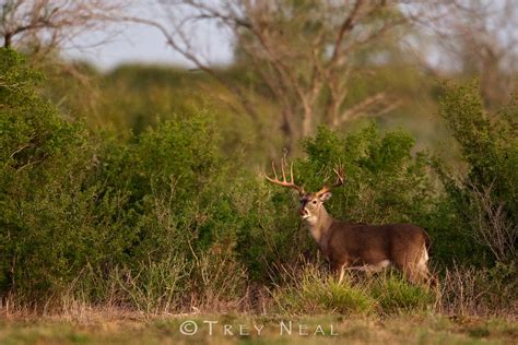 Briscoe Ranch Map - Texas - Mapcarta