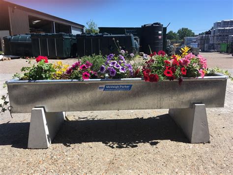 Horse Trough Planting | Fasci Garden