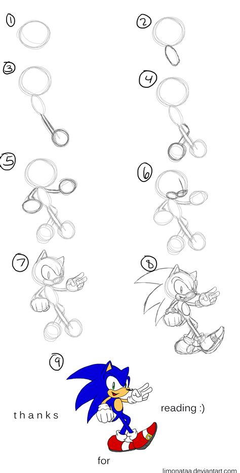 How I Draw: Sonic the Hedgehog by Limonataa on DeviantArt