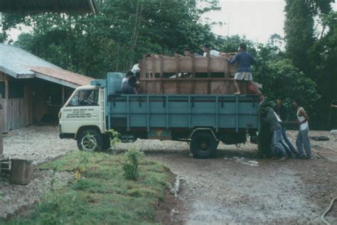 A herd of dead rhinos — Borneo Rhino Alliance