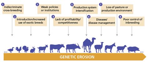 Benefits, threats and actions | Animal genetics | Food and Agriculture ...