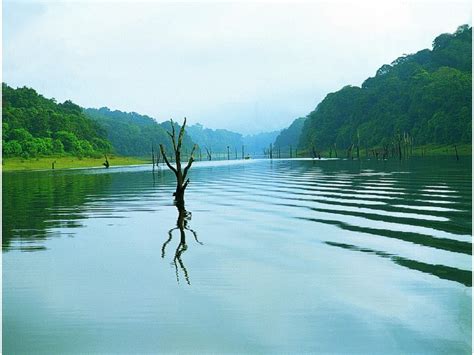 Thekkady Boating In 2024-Online Booking, Timings, Cost, Fare For ...