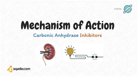 Carbonic Anhydrase Inhibitors