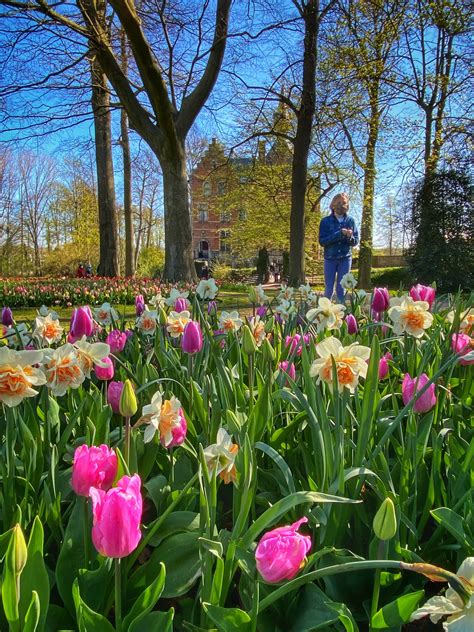 Tulip Time: Belgium – Home Base Belgium