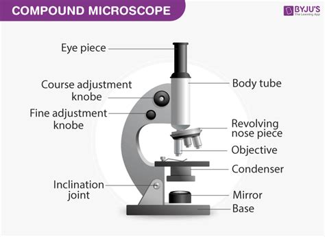 [DIAGRAM] Leica Compound Microscope Diagram - MYDIAGRAM.ONLINE