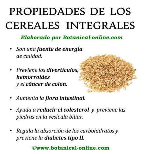 Propiedades de los cereales integrales Botanical Online, Dandelion ...