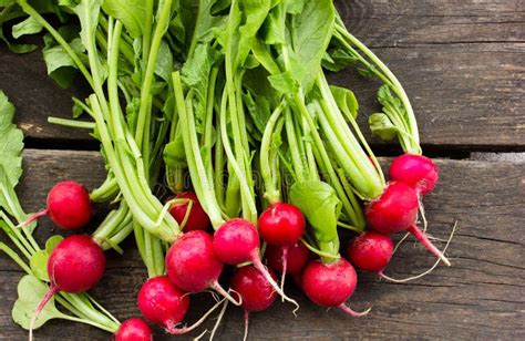 Fresh Radish with Leaves on a Round Bowl Stock Image - Image of leaf ...