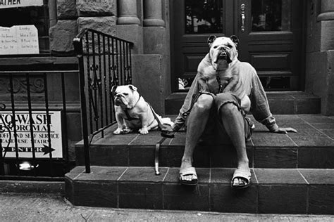 Dogs by Elliott Erwitt, Beetles + Huxley - exhibition review ...