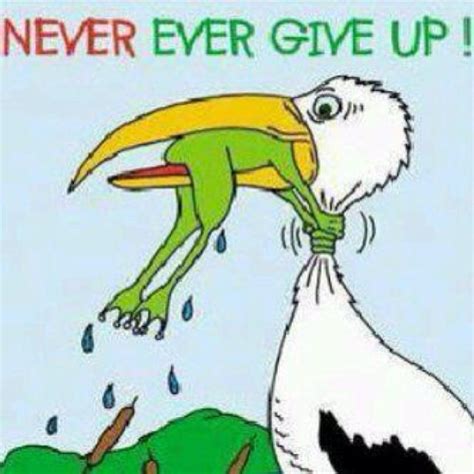 Never give up!! | Funny quotes, Funny pictures, Funny