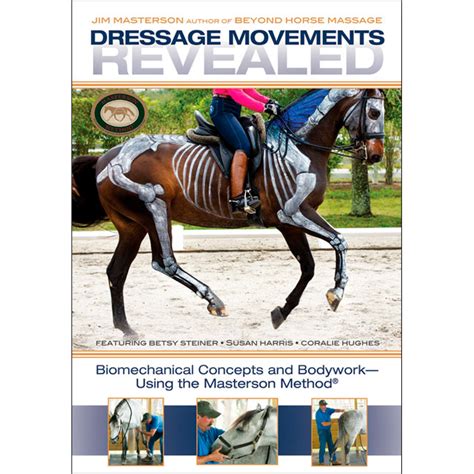 DRESSAGE MOVEMENTS REVEALED | Steiner Dressage