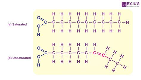 Chemical Structure Of Lipids