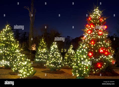 Red And White Lights Christmas Tree - Christmas Gardens 2021