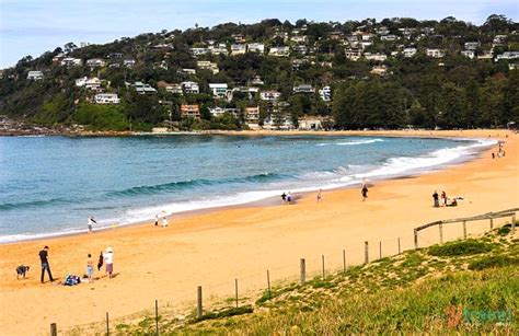 Palm Beach, Sydney - one of the best beaches in Sydney