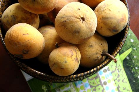 What is Santol? Recipe