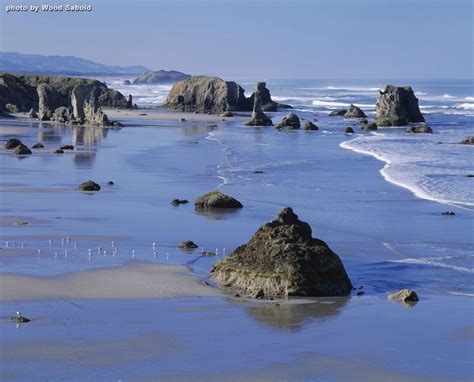 Beach Loop RV Village - 3 Photos, 2 Reviews - Bandon, OR - RoverPass