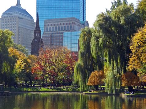 Joe's Retirement Blog: Public Garden, Boston, Massachusetts, USA