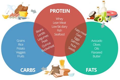 workout-nutrion-chart-Proteins-carbs-fats – Fitness Workouts & Exercises