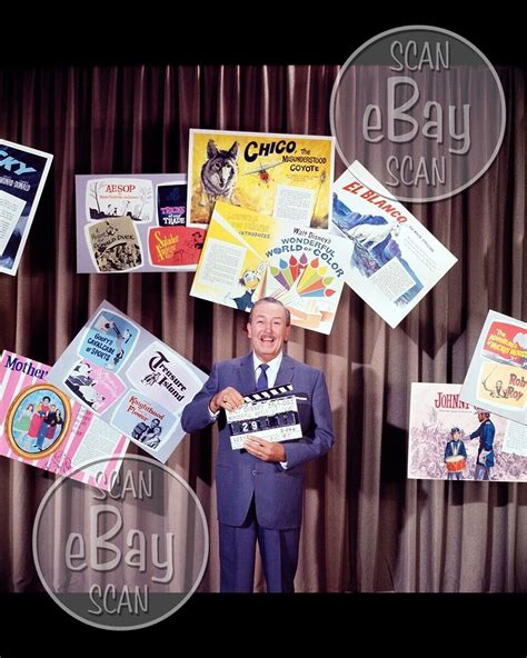 Rare! WALT DISNEY'S WONDERFUL WORLD OF DISNEY 8 X 10 Color TV Photo ...