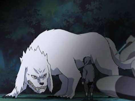 Who is Akamaru in Naruto?