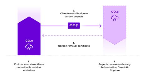 Carbon offsetting projects — types, costs, scope and more