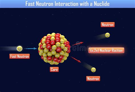 Schnelles Neutron-Interaktion Mit Einem Nuklid Stock Abbildung ...