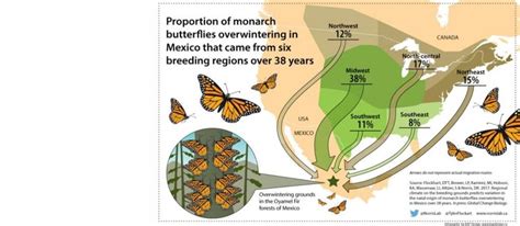 Monarch Butterfly Migration Map