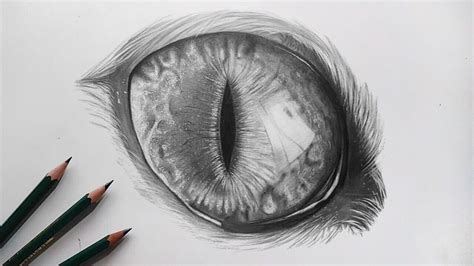 Realistic Drawing Of A Cat Eye