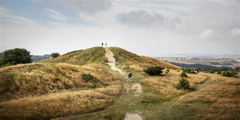 The Lord of the Rings: Inside Djursland, the Danish landscape that ...