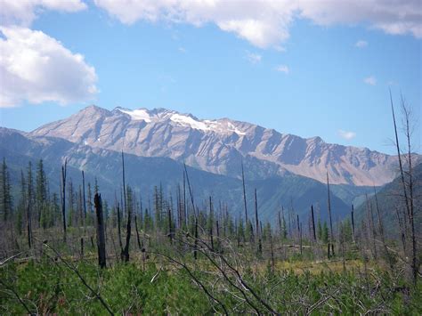 Best Hikes in Flathead National Forest (MT) - Trailhead Traveler