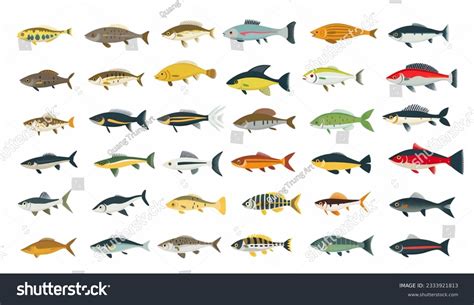 List Freshwater Aquarium Fish Species Vector Stock Illustration ...